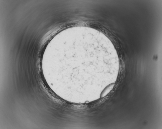 X0000114990245200912071123