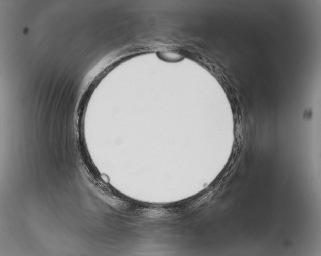 X0000114990246200912071123