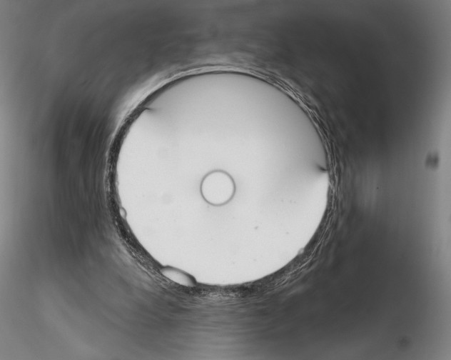 X0000114990248200912071123