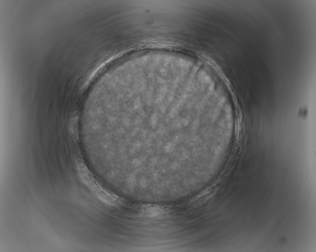 X0000114990249200912071123