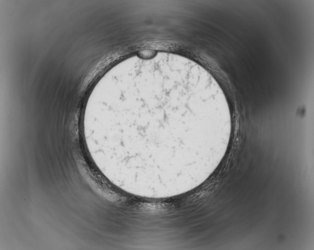 X0000114990250200912071123