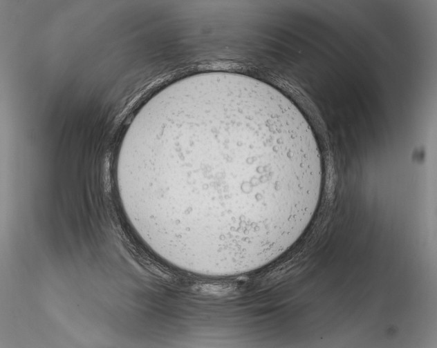 X0000114990251200912071123