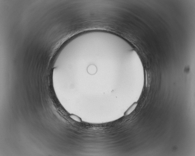 X0000114990252200912071123