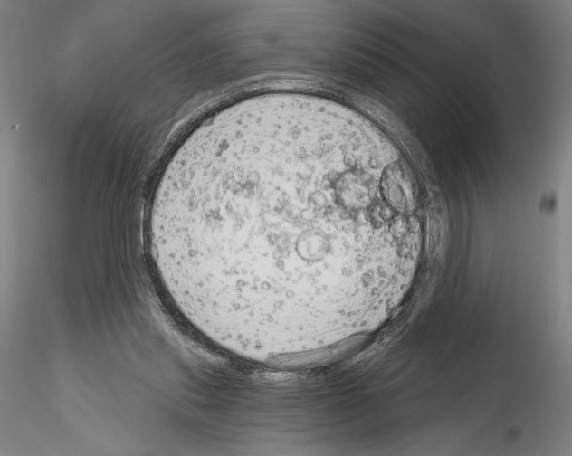 X0000114990253200912071123