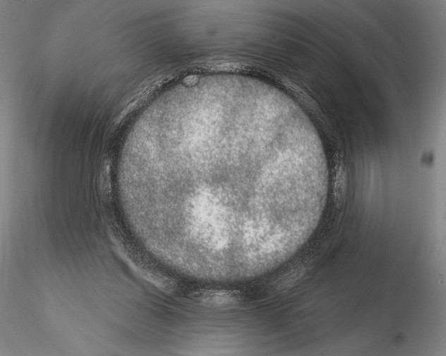 X0000114990254200912071123