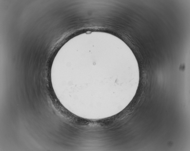 X0000114990256200912071123