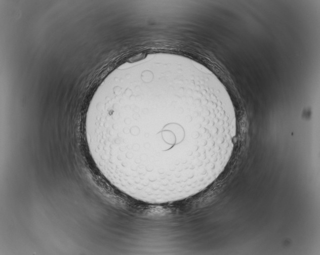 X0000114990257200912071123