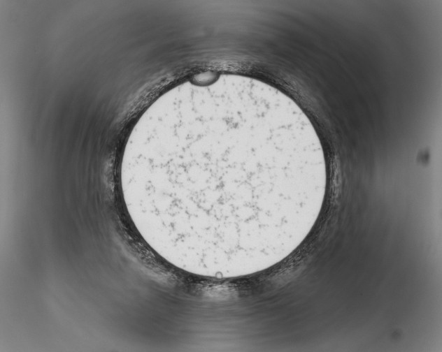 X0000114990258200912071123