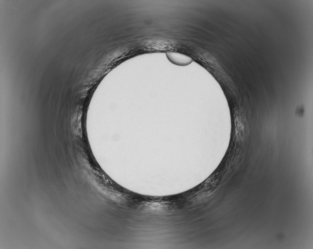 X0000114990259200912071123