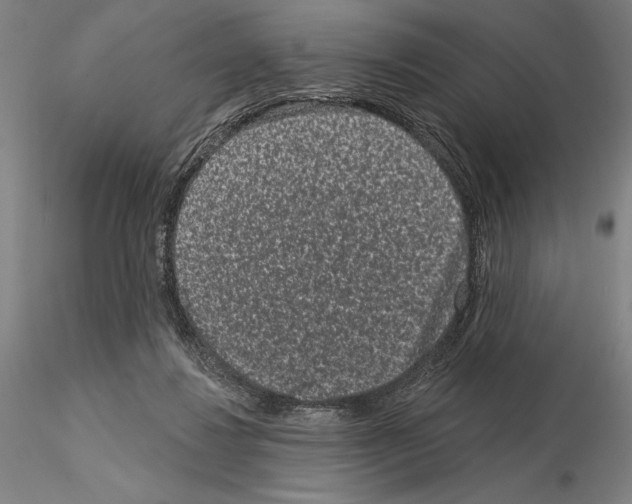 X0000114990260200912071123