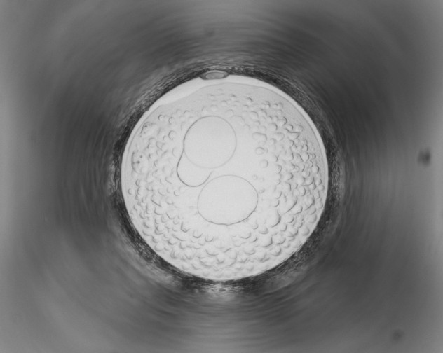 X0000114990261200912071123