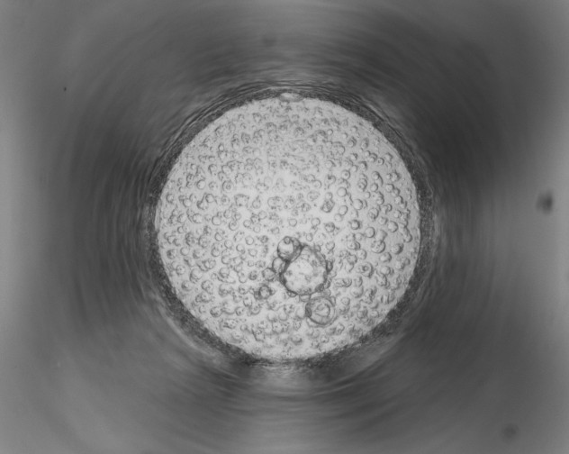 X0000114990265200912071123