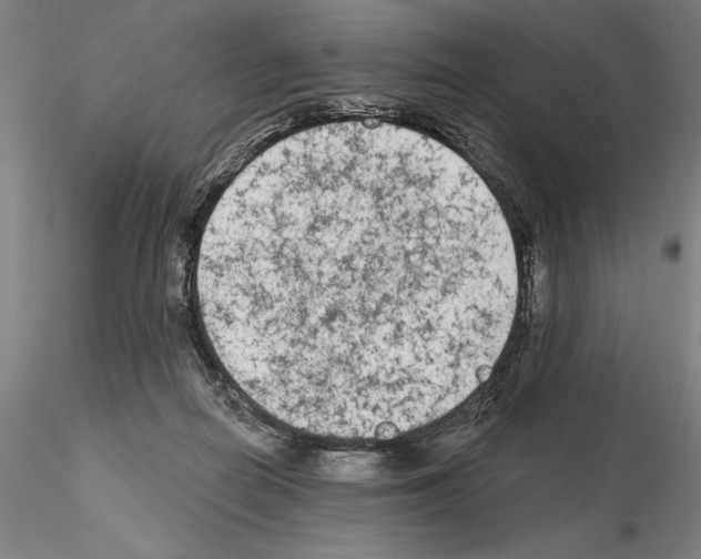 X0000114990266200912071123