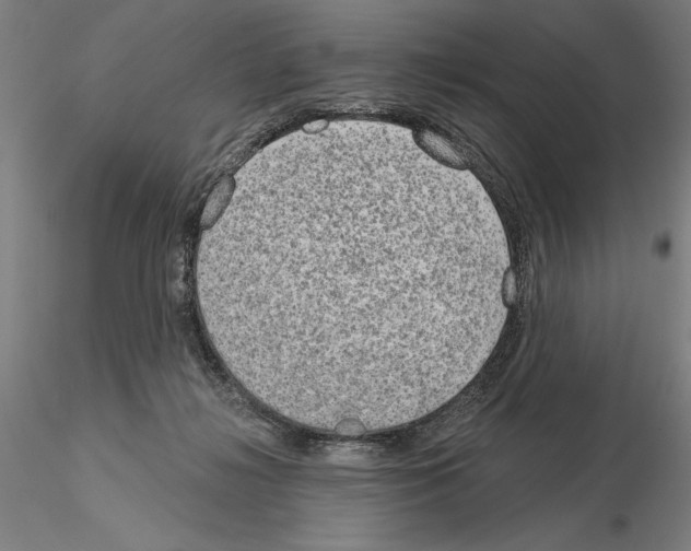 X0000114990268200912071123