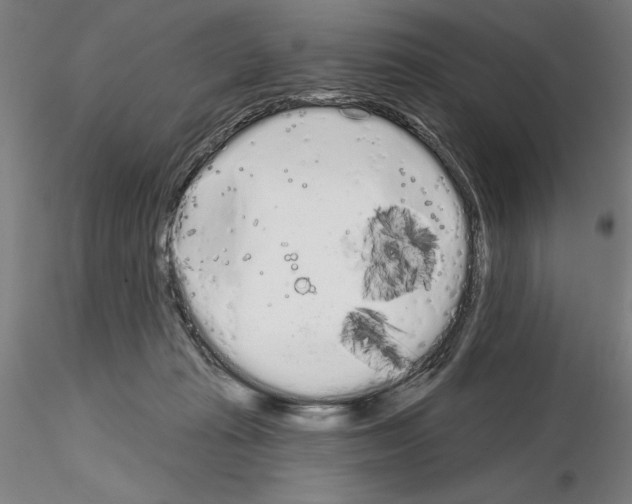 X0000114990269200912071123