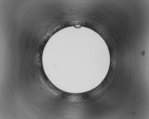 X0000114990270200912071123