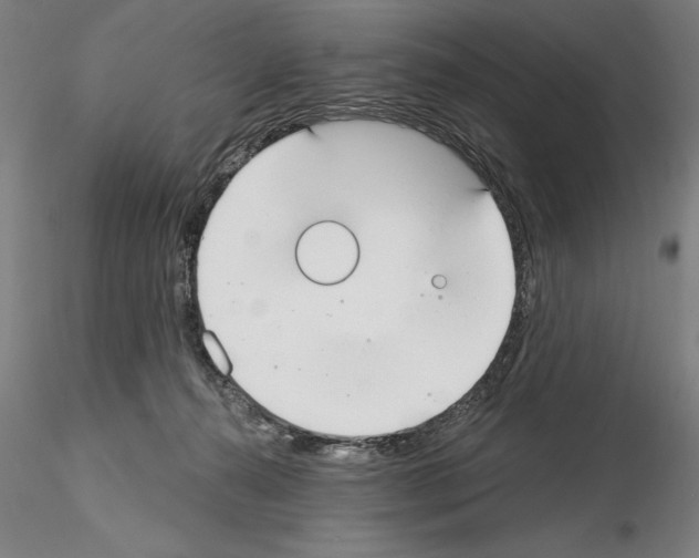 X0000114990272200912071123