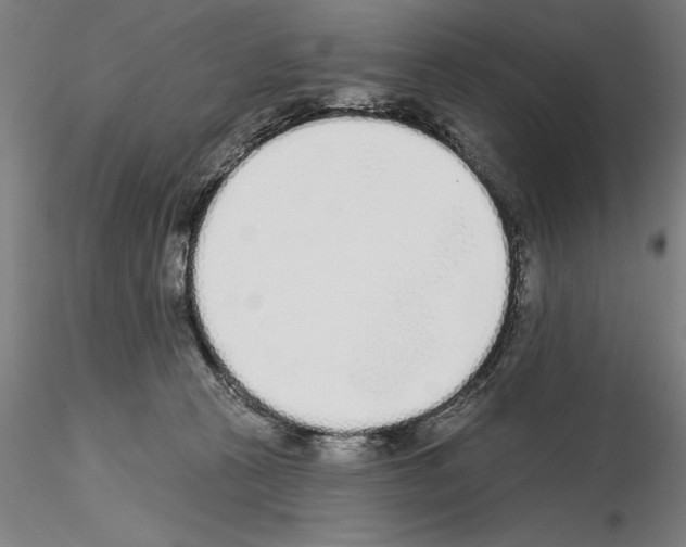 X0000114990273200912071123