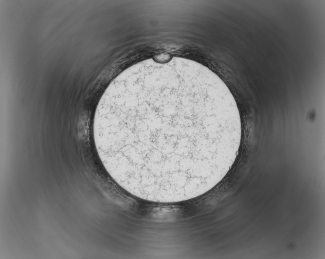 X0000114990274200912071123