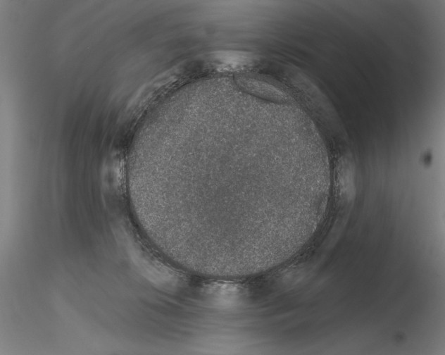 X0000114990276200912071124