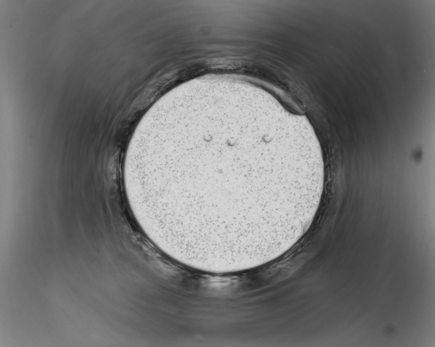 X0000114990277200912071124