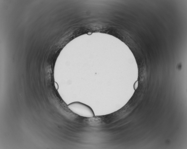 X0000114990279200912071124