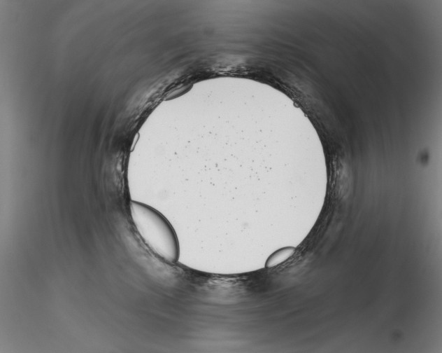 X0000114990280200912071124