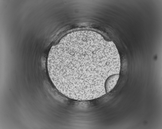 X0000114990282200912071124