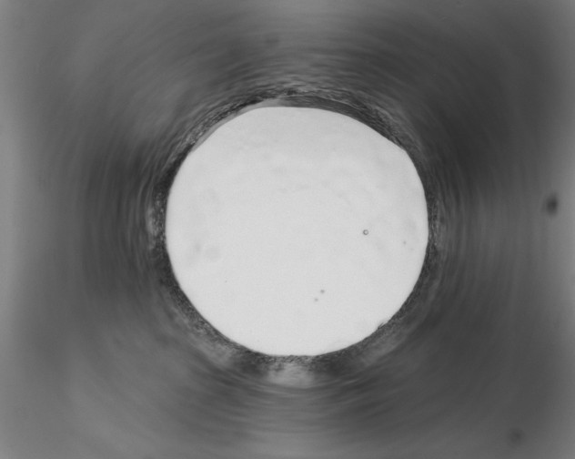 X0000114990285200912071124