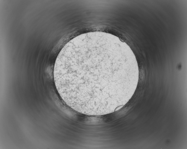 X0000114990286200912071124