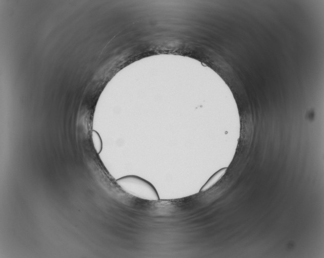 X0000114990287200912071124