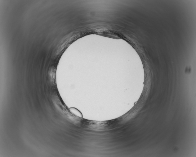 X0000114990288200912071124