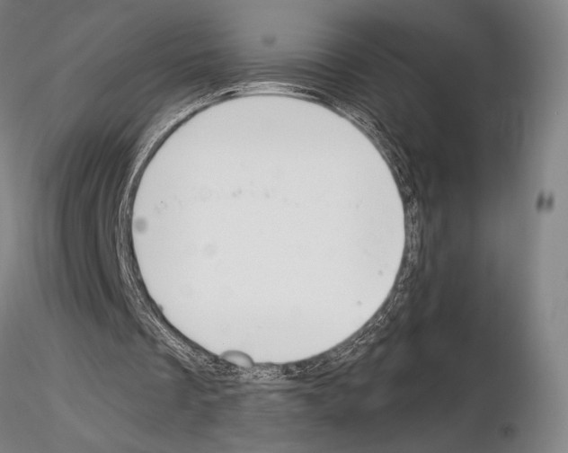 X0000114990289200912071123