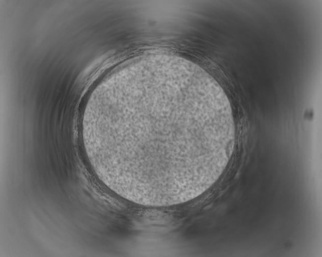 X0000114990290200912071123