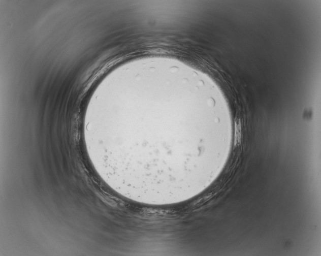 X0000114990291200912071123