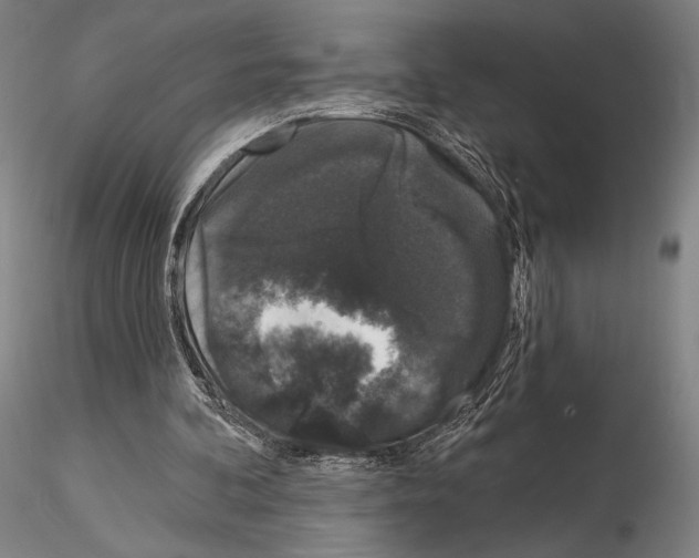 X0000114990292200912071123