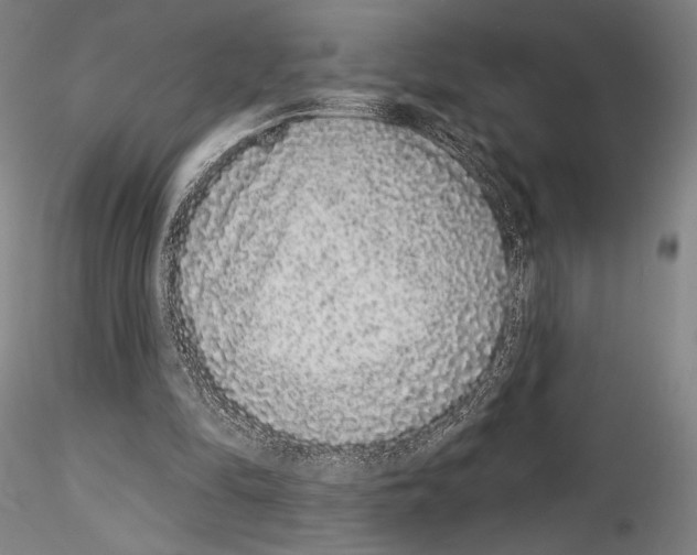 X0000114990294200912071123