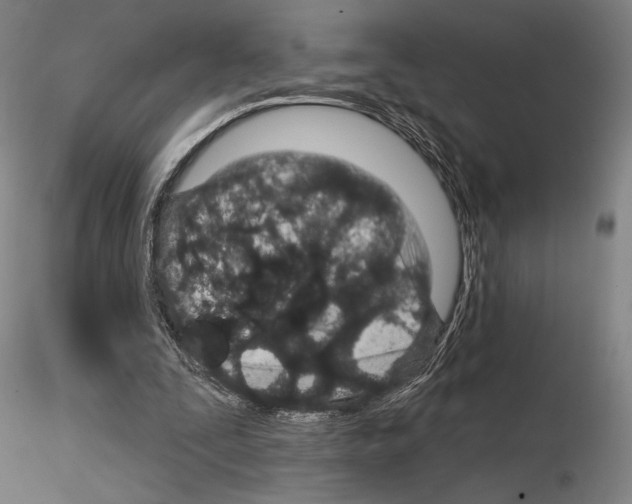 X0000114990295200912071123