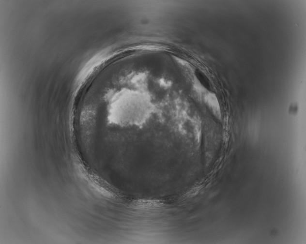 X0000114990296200912071123