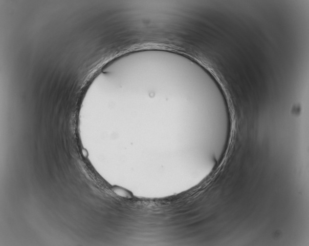 X0000114990297200912071123