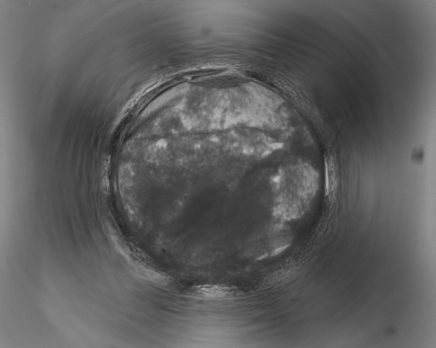 X0000114990300200912071123