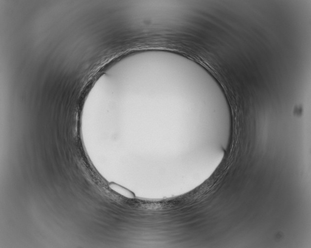 X0000114990301200912071123