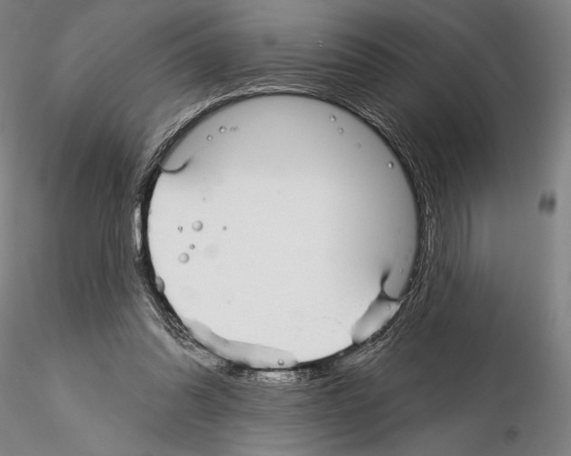 X0000114990302200912071123