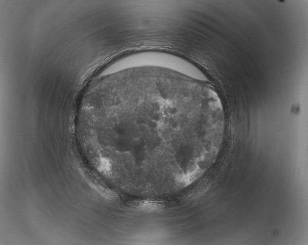 X0000114990303200912071123