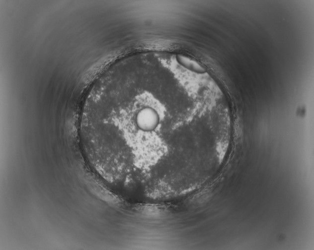 X0000114990305200912071123