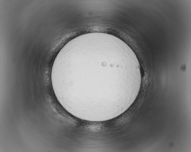 X0000114990306200912071123