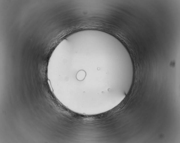 X0000114990309200912071123