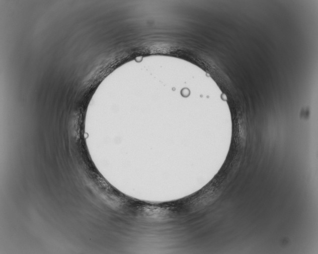 X0000114990311200912071123