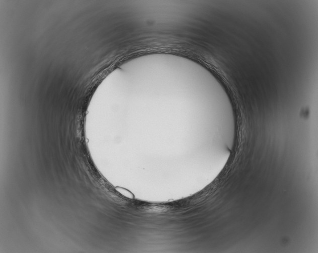 X0000114990313200912071123