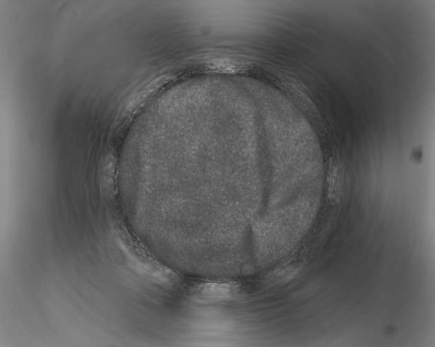 X0000114990314200912071123